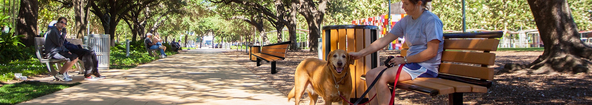 Richmond Bench2