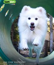 2019 Bark Park Catalog Cover Page 01