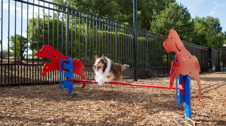 Us Bp Pbark 450 Rover Jump Over Lifestyle2