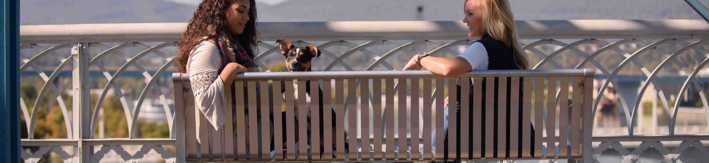 177 B Ultra Site Fall2015 Dotson Commercial