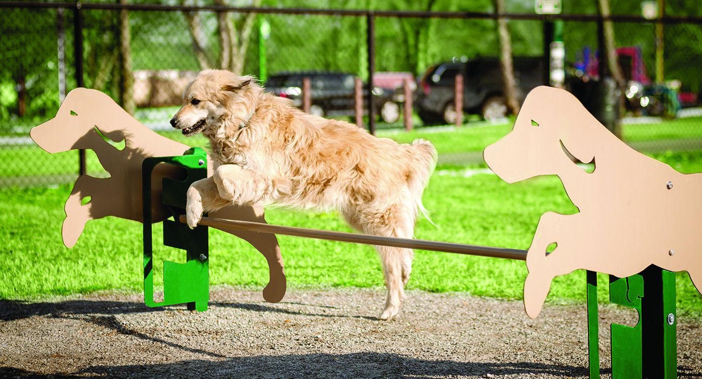 BarkPark Dog Park Equipment UltraSite Ultrasite