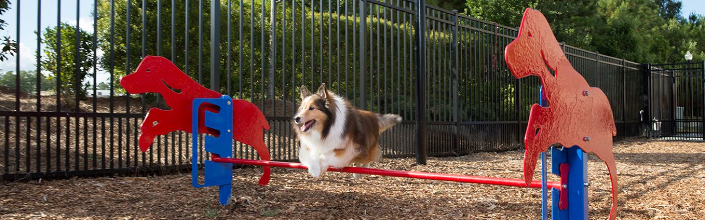 Us Bp Pbark 450 Rover Jump Over Lifestyle2