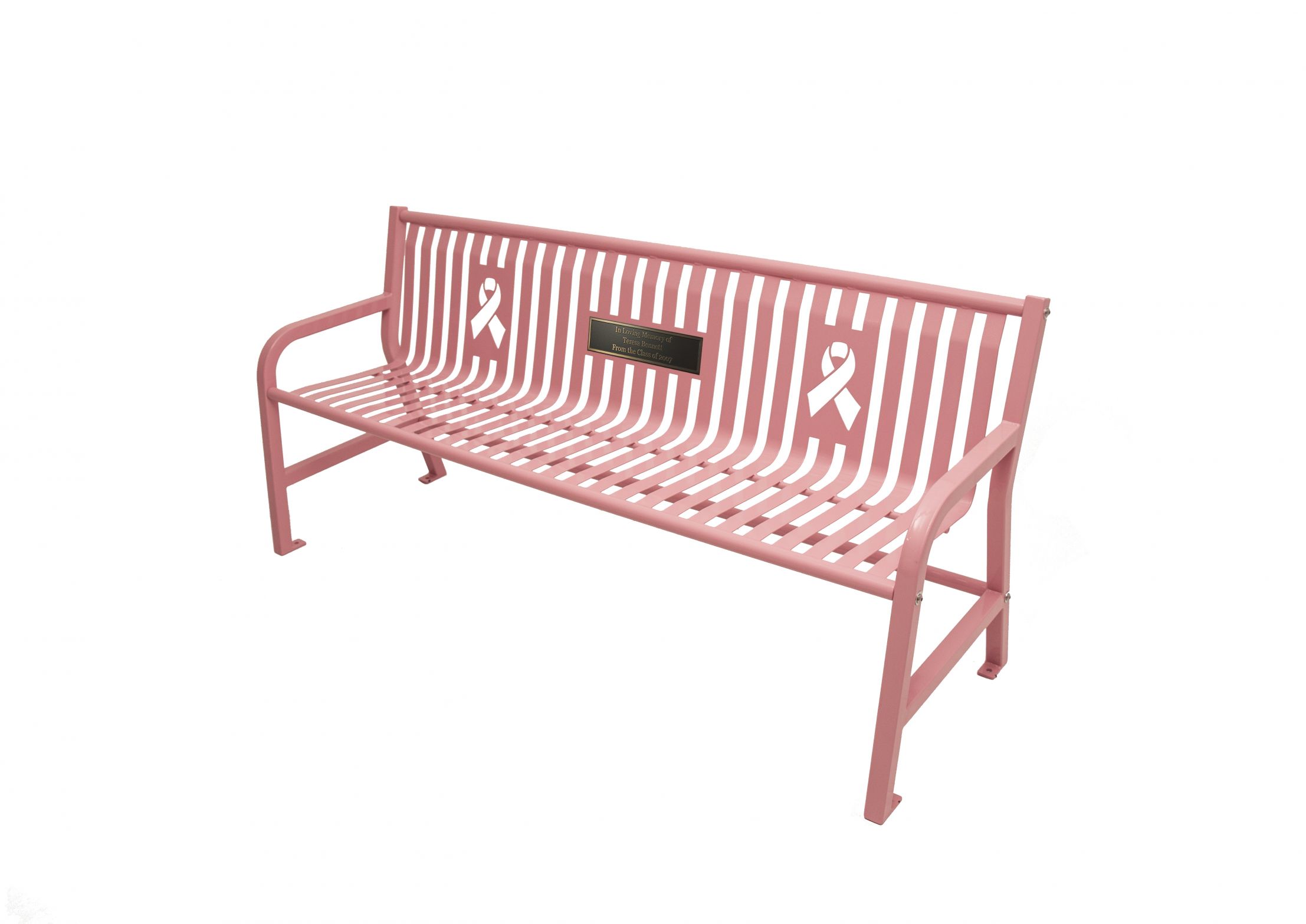Jackson Awareness Bench