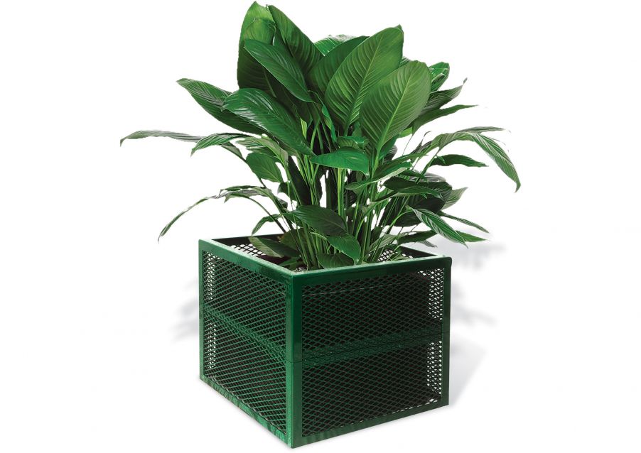 Square Planter